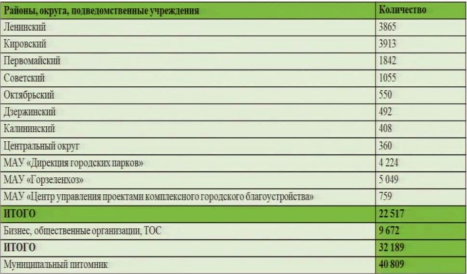 22 517 деревьев и кустарников высадили в Новосибирске в 2025 году