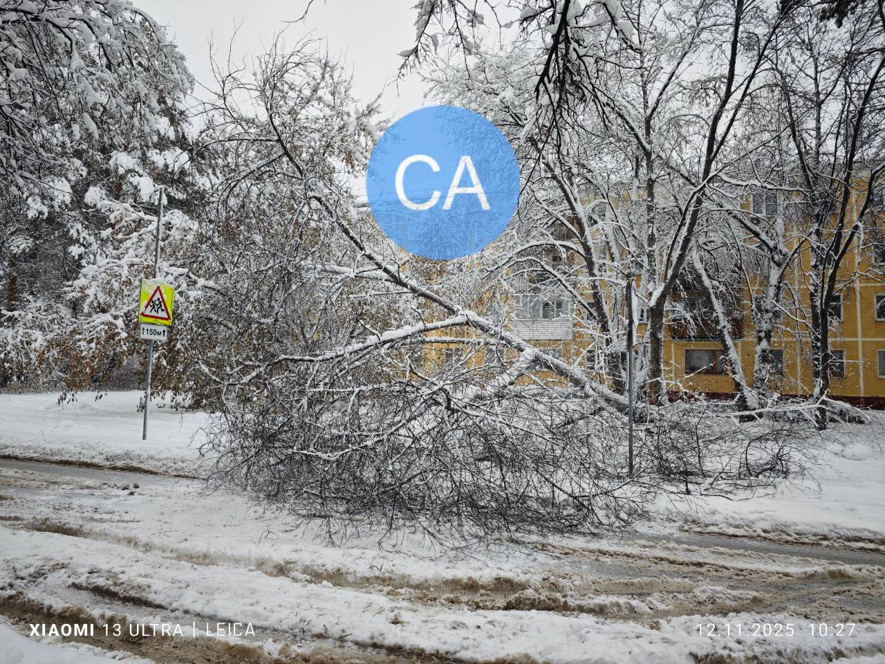 Мокрый снег буквально уложил на землю деревья в новосибирском Академе Мокрый снег буквально уложил на землю деревья в новосибирском Академе