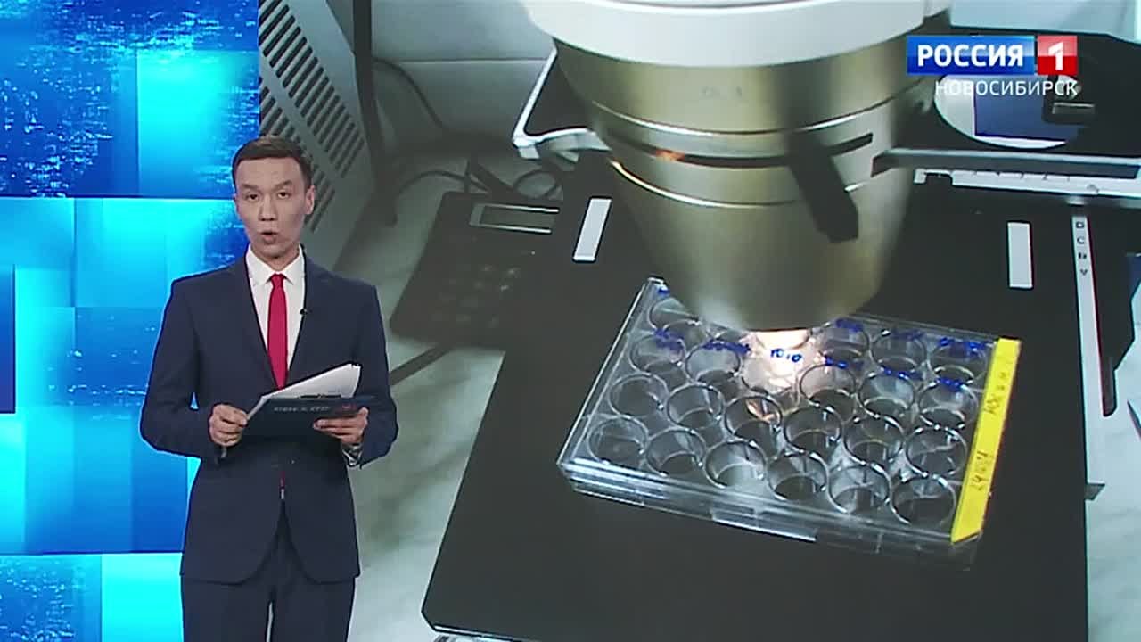 Удобное лечение. Новую форму противовоспалительного препарата разрабатывают новосибирские ученые