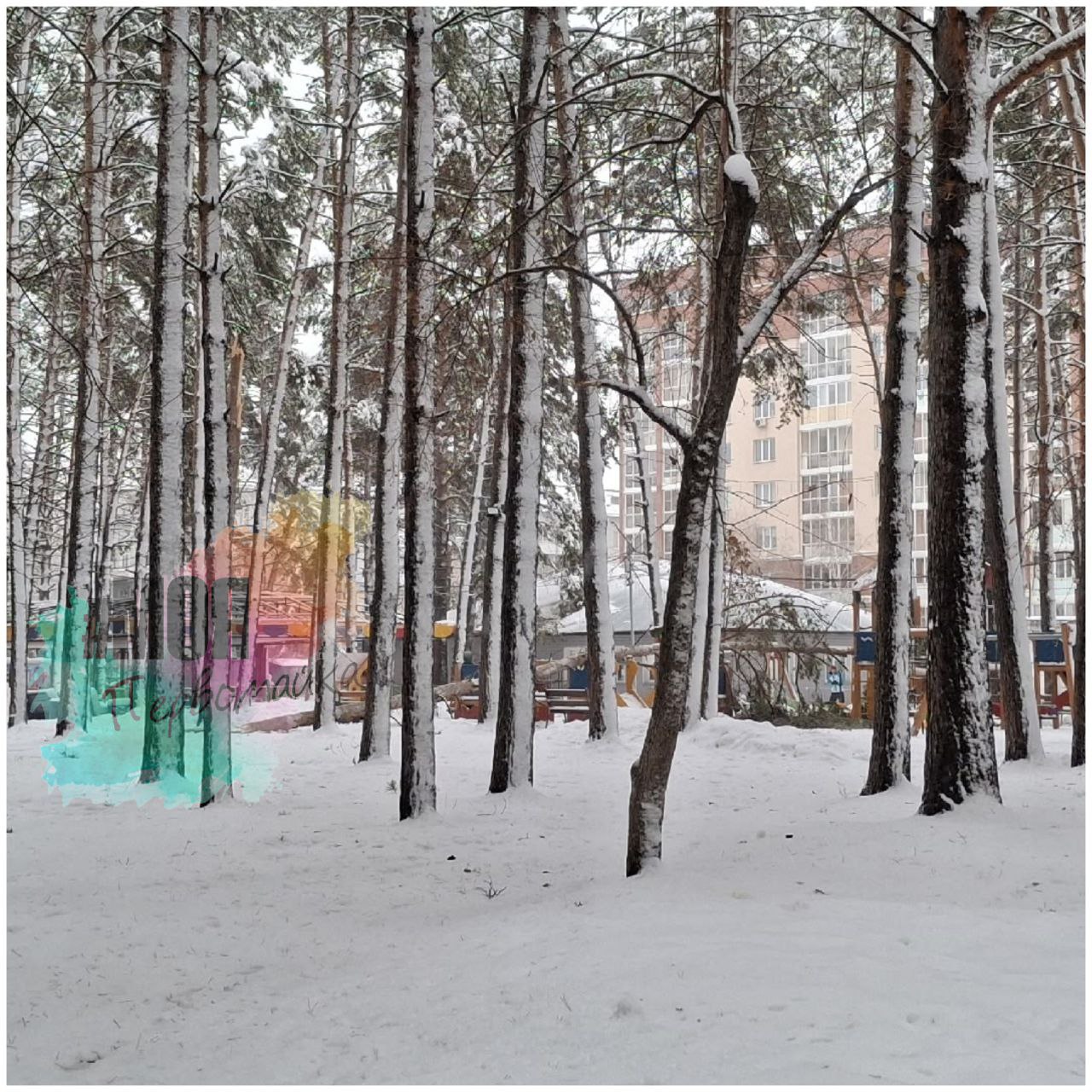 Дерево упало на детскую площадку в Новосибирске