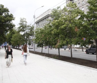 В 3 раза перевыполнена пилотная программа городского озеленения