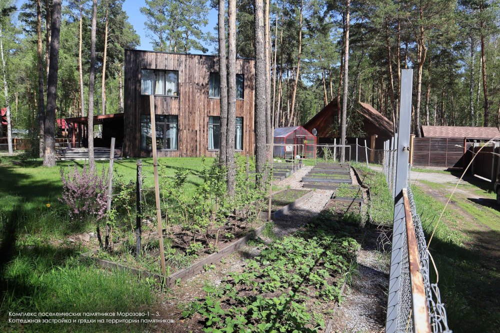 Владельцы коттеджей делают грядки на древних курганах под Новосибирском Владельцы коттеджей делают грядки на древних курганах под Новосибирском