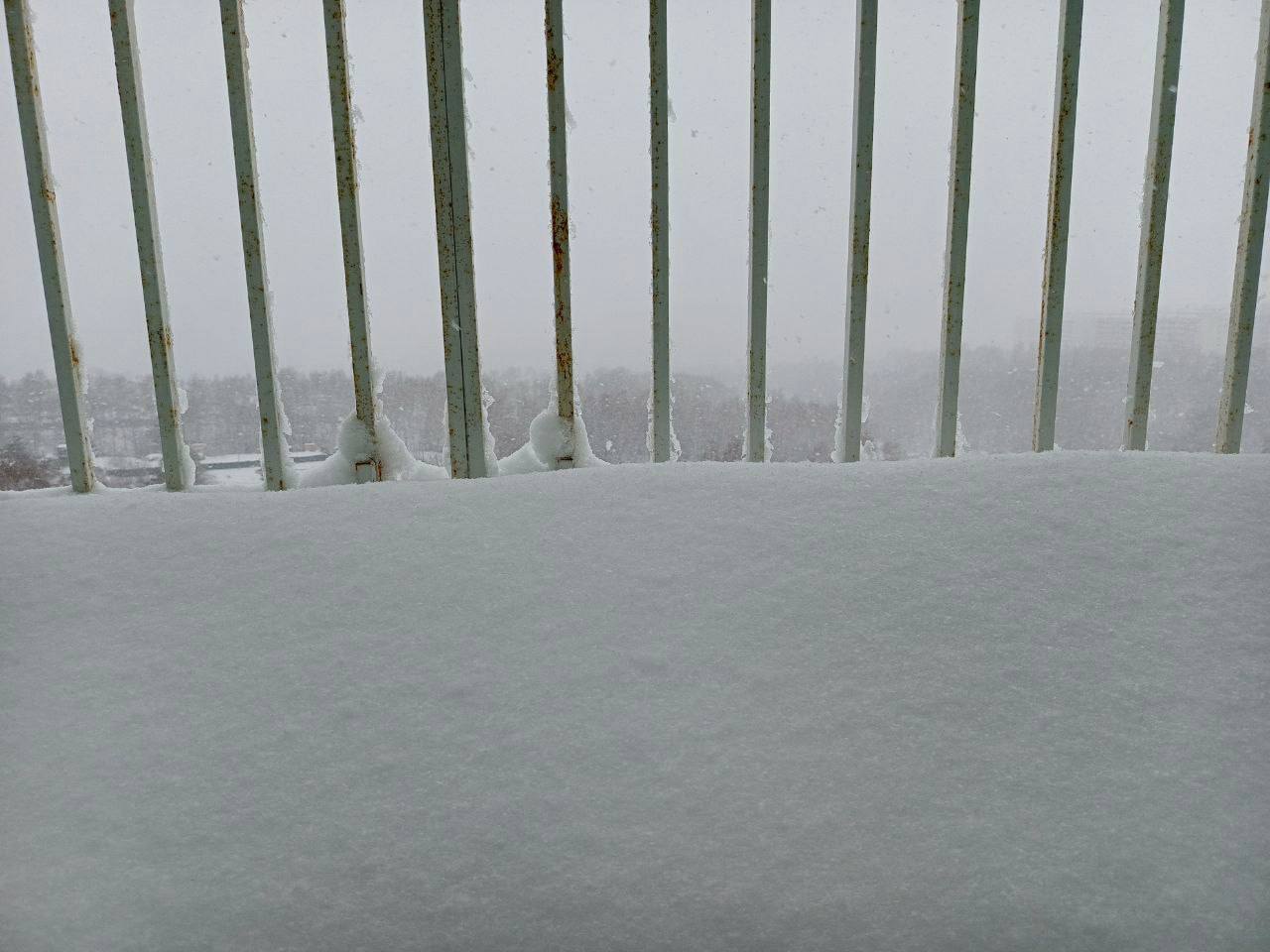 Двухмесячная норма осадков выпала за два дня в Новосибирске