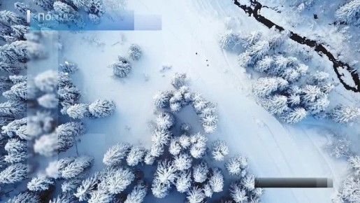 Вести Новосибирск