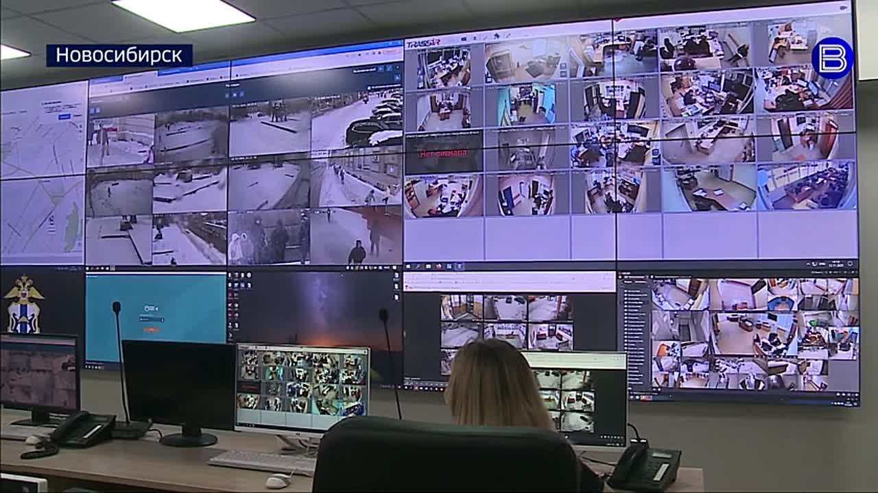 Незаменимый помощник. Полгода назад Новосибирская область стала первым регионом в России, где к поиску пропавших детей подключили искусственный интеллект