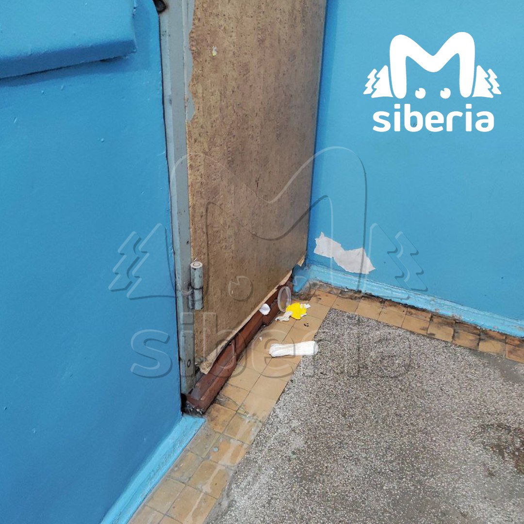 Пенсионерка завалила мусором квартиру в новосибирском Кольцово Пенсионерка завалила мусором квартиру в новосибирском Кольцово