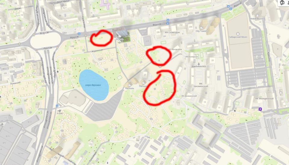 Семью с 25 детьми расселили на Журинском спуске в Новосибирске