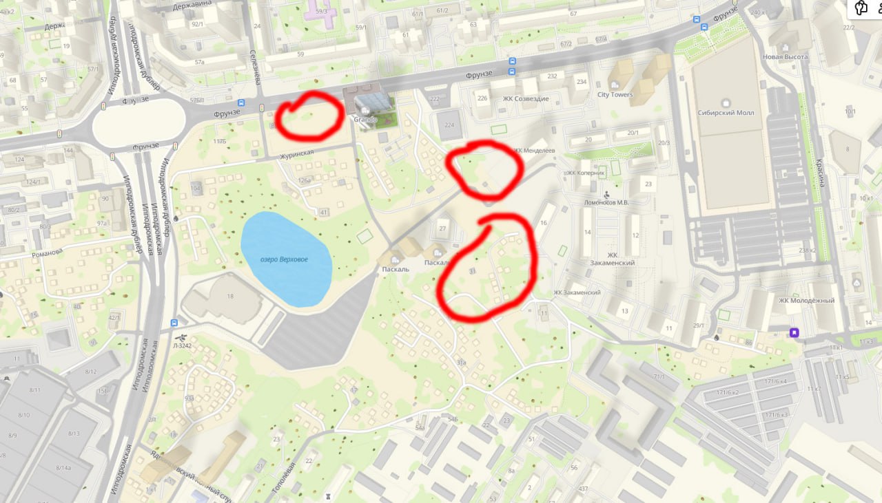 Семью с 25 детьми расселили на Журинском спуске в Новосибирске