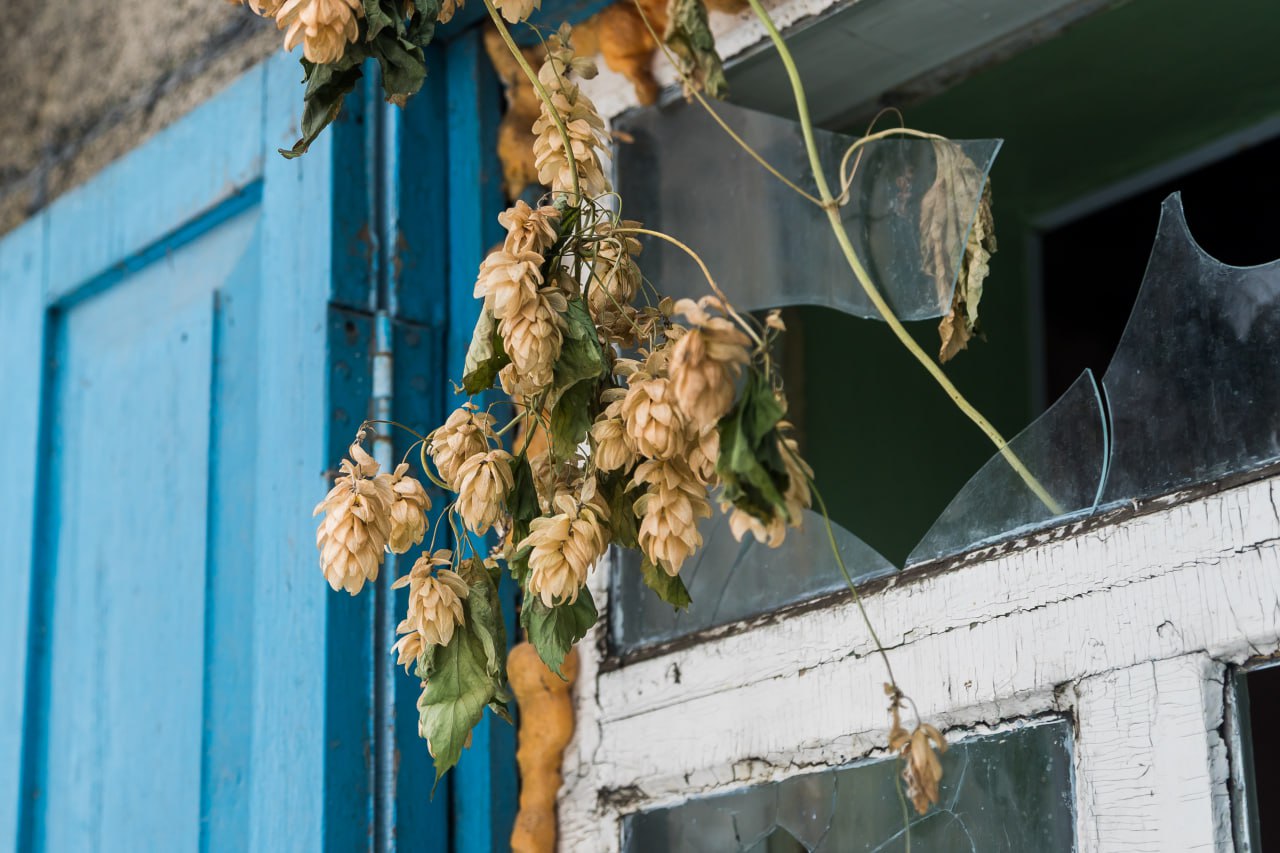 Семью с 25 детьми расселили на Журинском спуске в Новосибирске Семью с 25 детьми расселили на Журинском спуске в Новосибирске