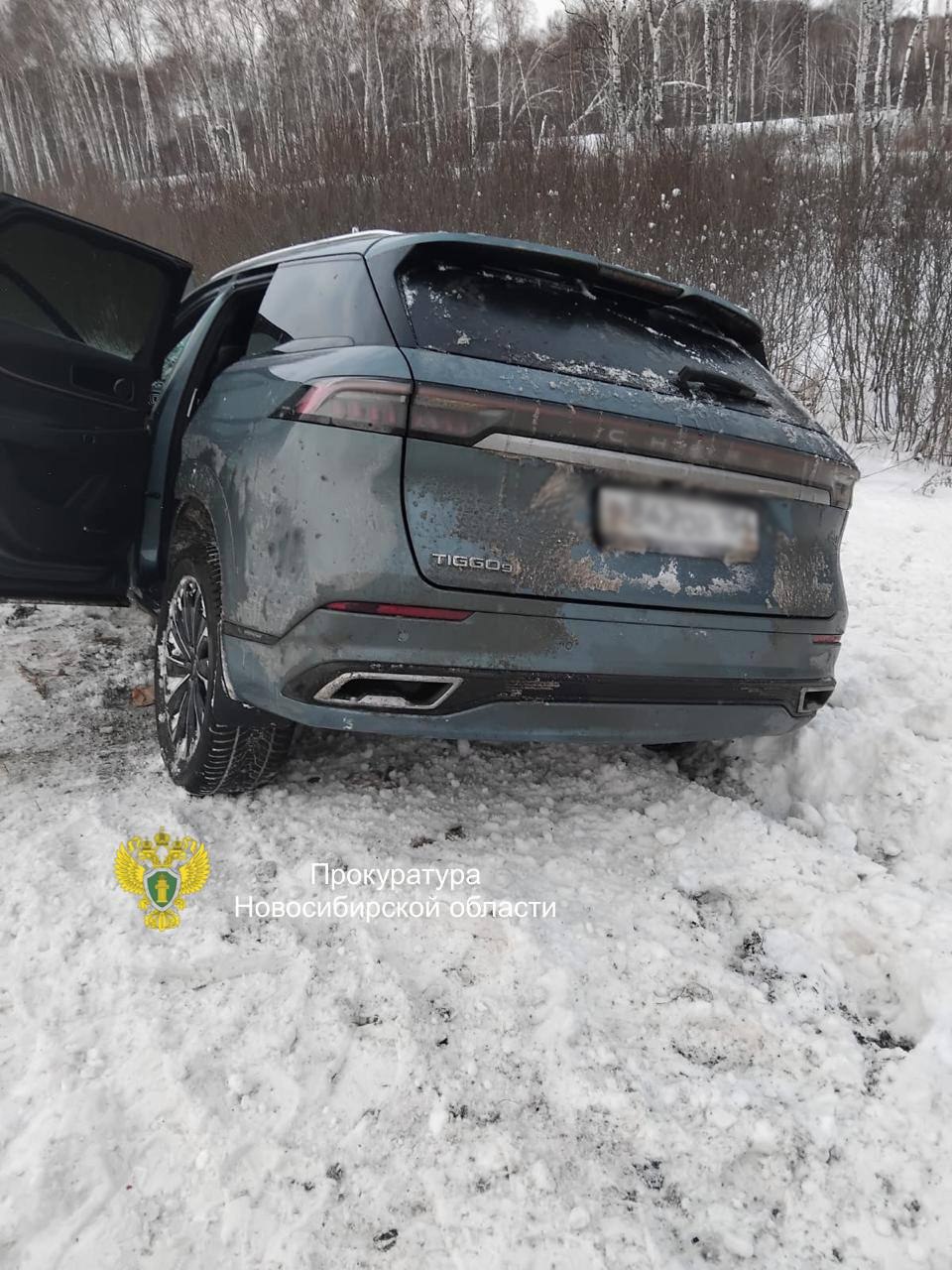 В аварии с тремя погибшими в Тогучинском районе пострадал ребенок В аварии с тремя погибшими в Тогучинском районе пострадал ребенок