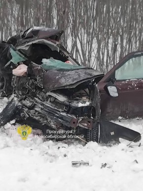 Прокуратурой Тогучинского района организована проверка по факту ДТП, в результате которого погибли три человека и еще трое пострадали