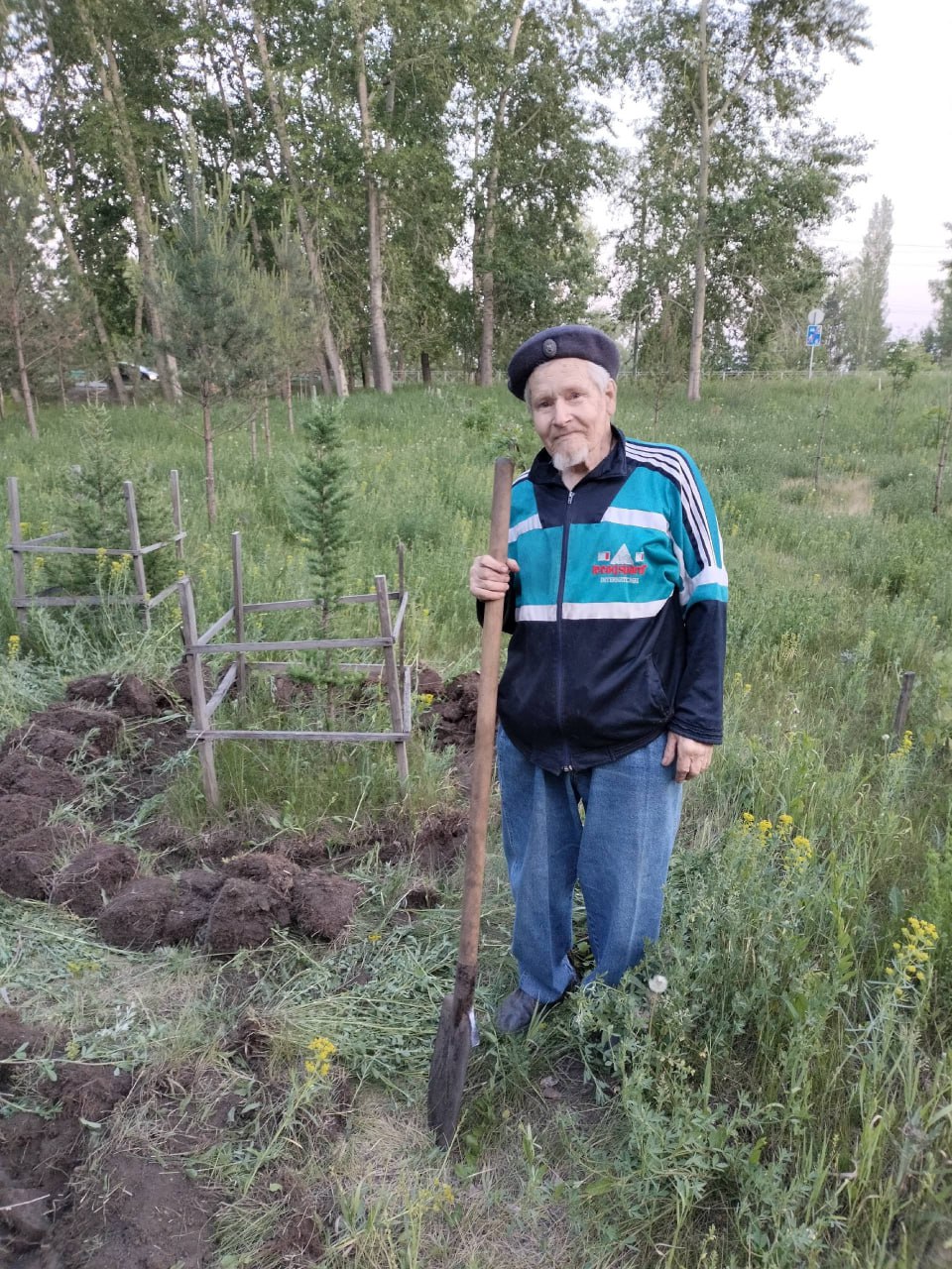 91-летний пенсионер в одиночку ухаживает за дубовой аллеей в Новосибирске 91-летний пенсионер в одиночку ухаживает за дубовой аллеей в Новосибирске