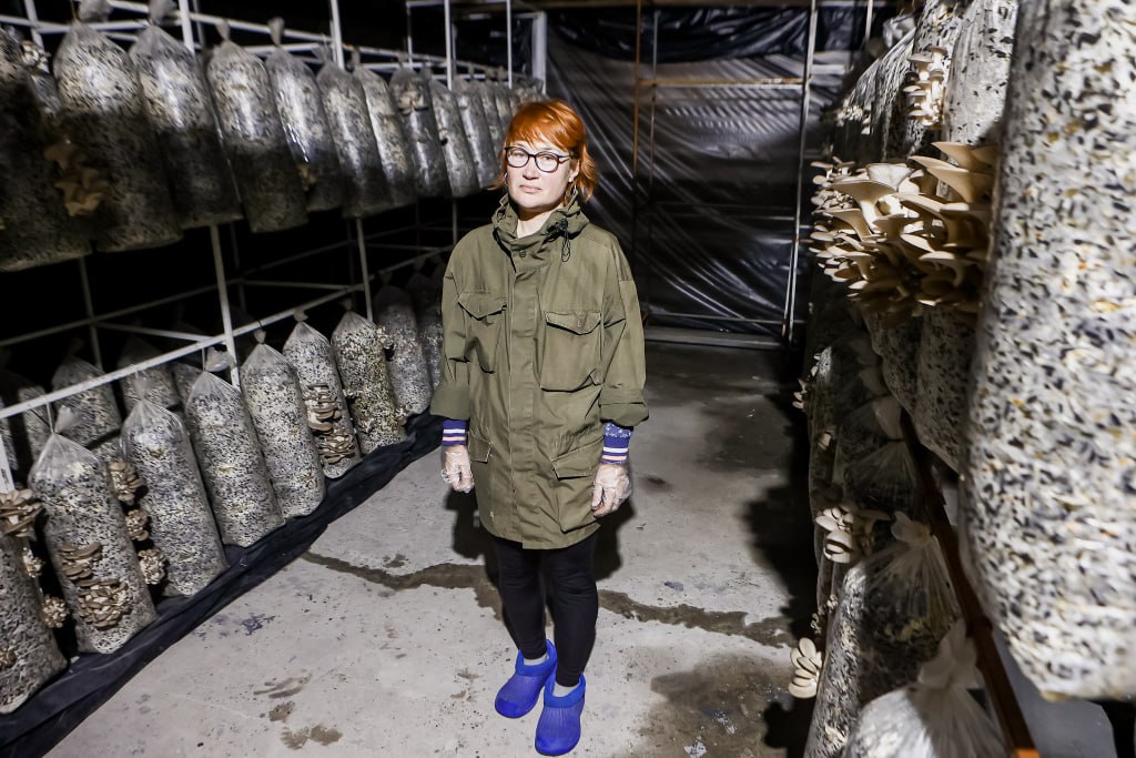 «Срываешь и сразу ешь»: фоторепортаж с грибной фермы под Новосибирском «Срываешь и сразу ешь»: фоторепортаж с грибной фермы под Новосибирском