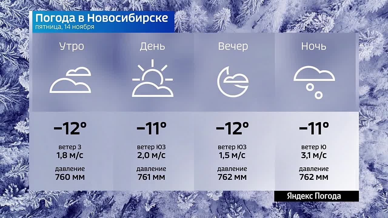 Вести Новосибирск