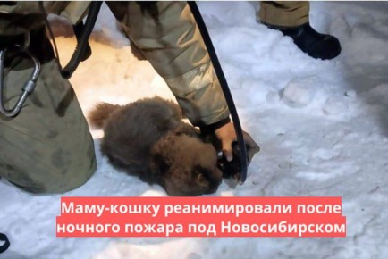 Пожар произошел ночью 14 ноября в селе Марусино Новосибирского района