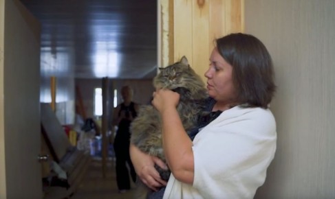 В сети вышел фильм о тех, кто спасает бездомных животных в Новосибирске