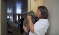 В сети вышел фильм о тех, кто спасает бездомных животных в Новосибирске