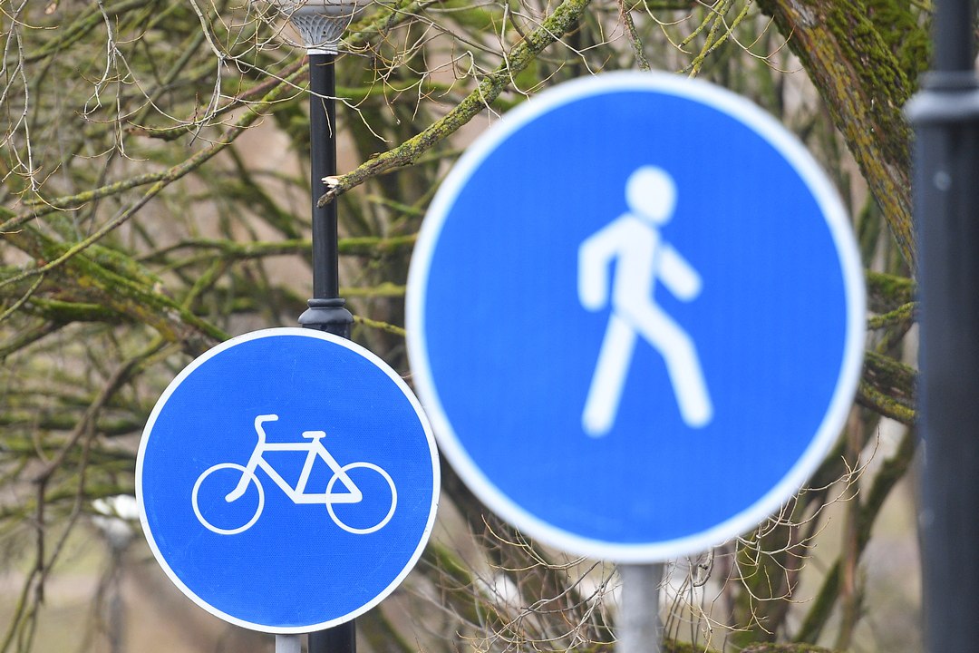 На восьми улицах Новосибирска обустроят велодорожки