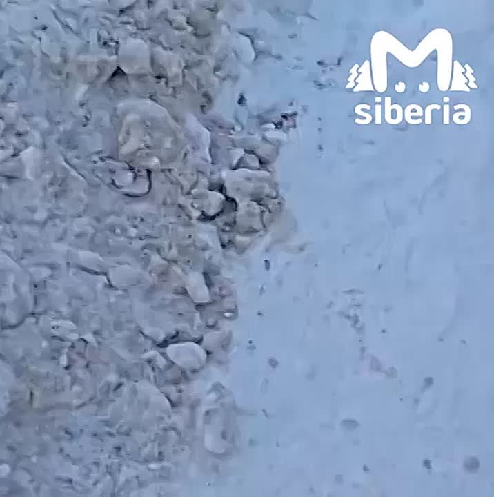 Новый тротуар закидали снегом в Новосибирске