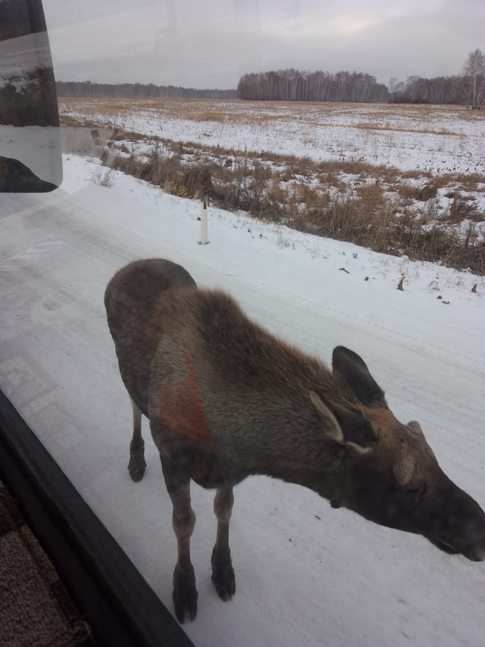 Пассажиры рейса Усть-Тарка - Угуй на днях пережили не просто поездку, а настоящее приключение