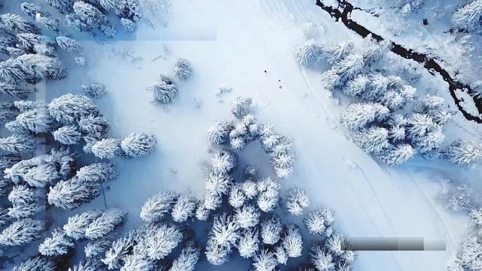 Вести Новосибирск