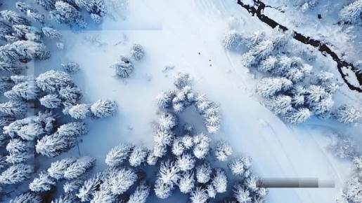 Вести Новосибирск