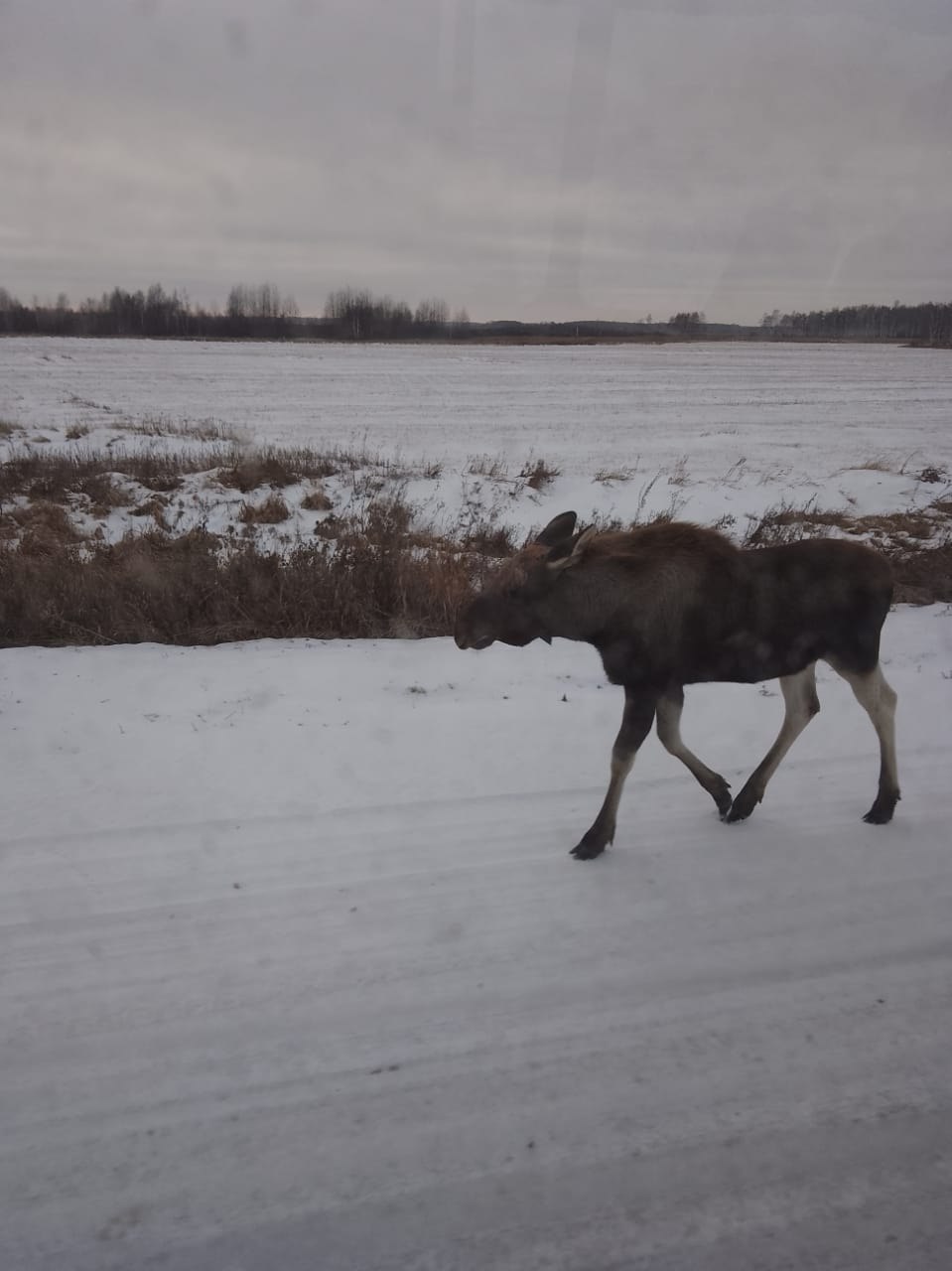 Пассажиры рейса Усть-Тарка - Угуй на днях пережили не просто поездку, а настоящее приключение Пассажиры рейса Усть-Тарка - Угуй на днях пережили не просто поездку, а настоящее приключение