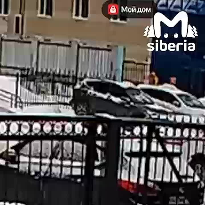 Австралийский суд поставил точку в деле о похищении отцом сына из Новосибирска