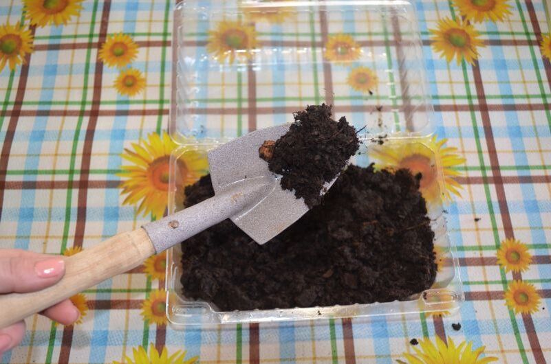 Идеальная почва для зимних томатов: как добиться отличного урожая в домашних условиях