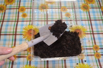 Идеальная почва для зимних томатов: как добиться отличного урожая в домашних условиях