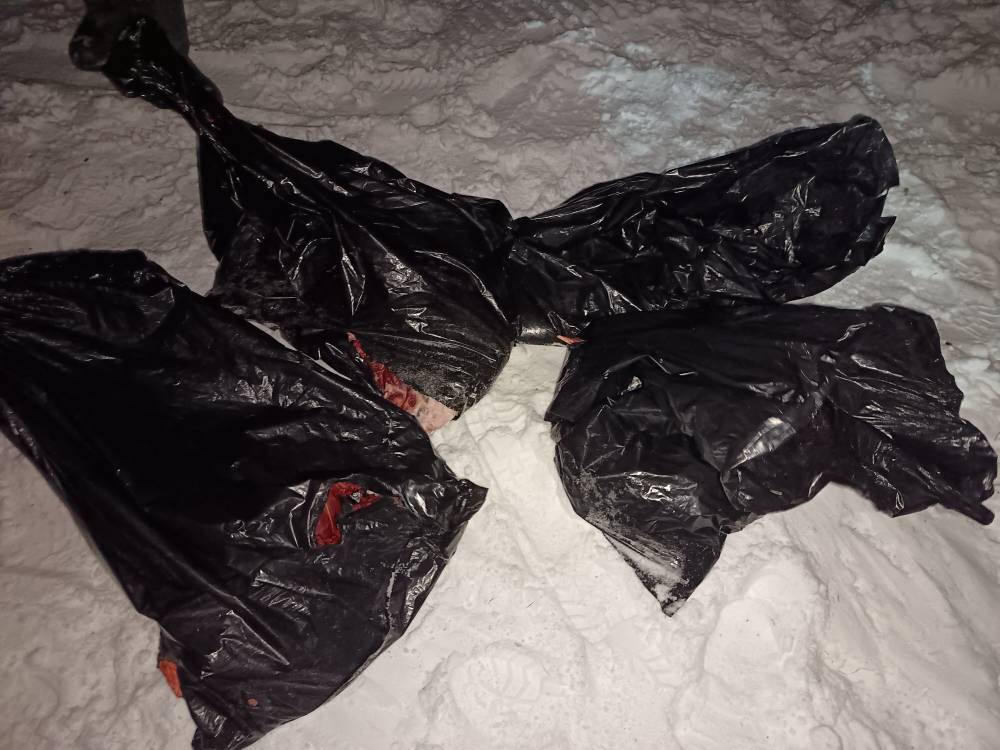 В Доволенском районе задержан подозреваемый в незаконной охоте В Доволенском районе задержан подозреваемый в незаконной охоте