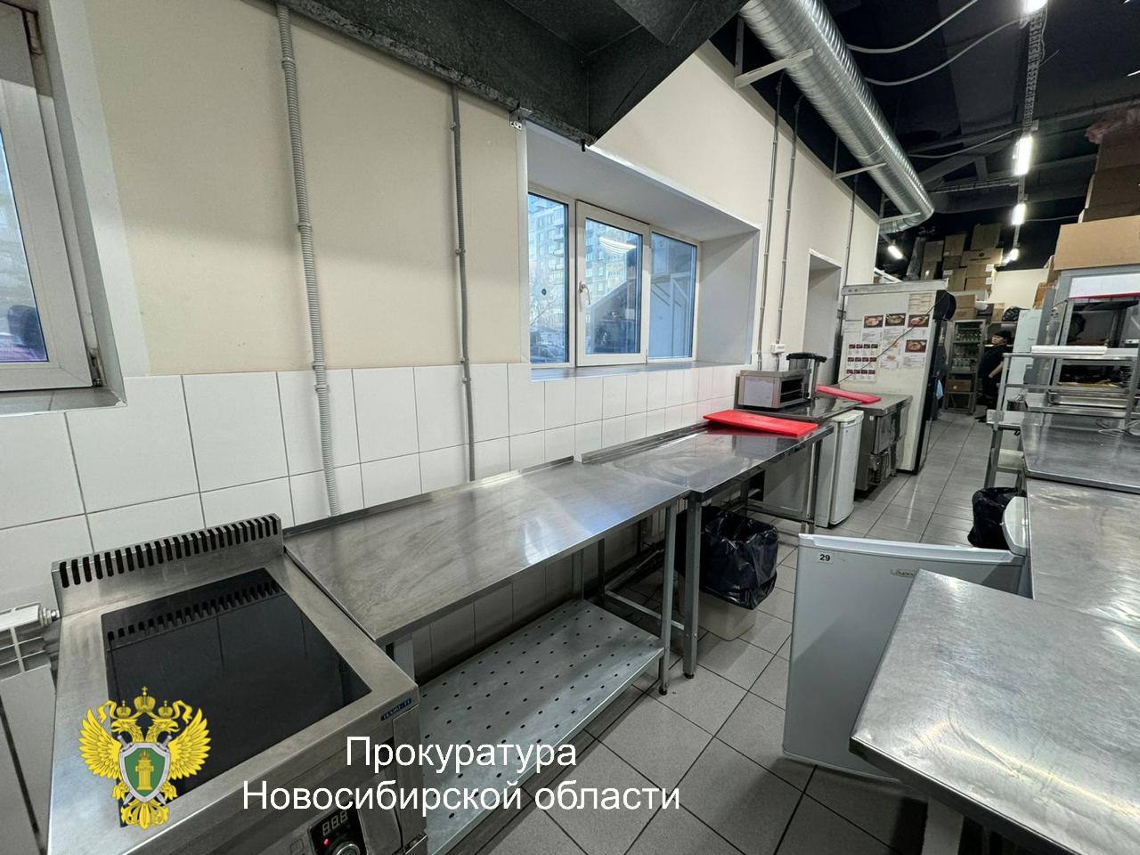 В Новосибирске осуждена директор организации за производство и сбыт товаров, не отвечающих требованиям безопасности