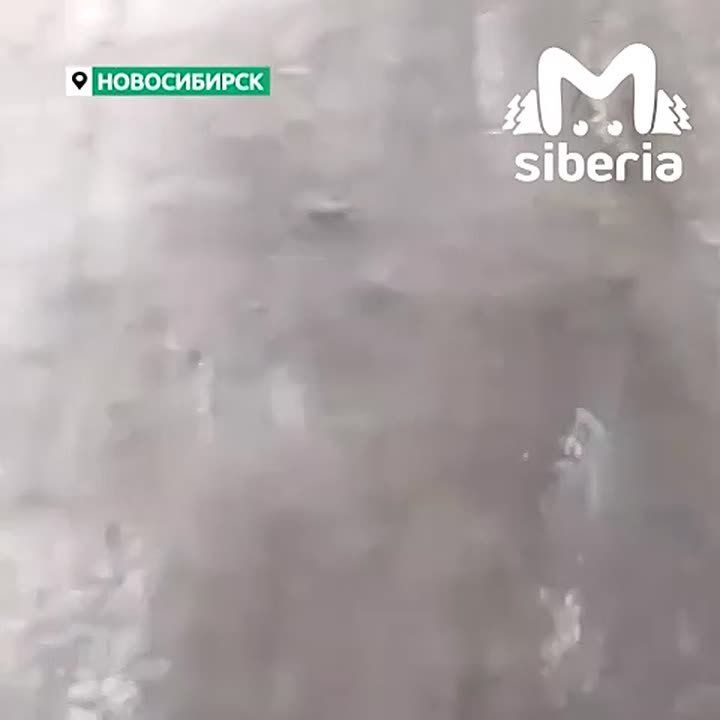 Проблемы вывоза мусора и нечищенных дорог закольцевались в Новосибирске