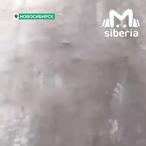 Проблемы вывоза мусора и нечищенных дорог закольцевались в Новосибирске