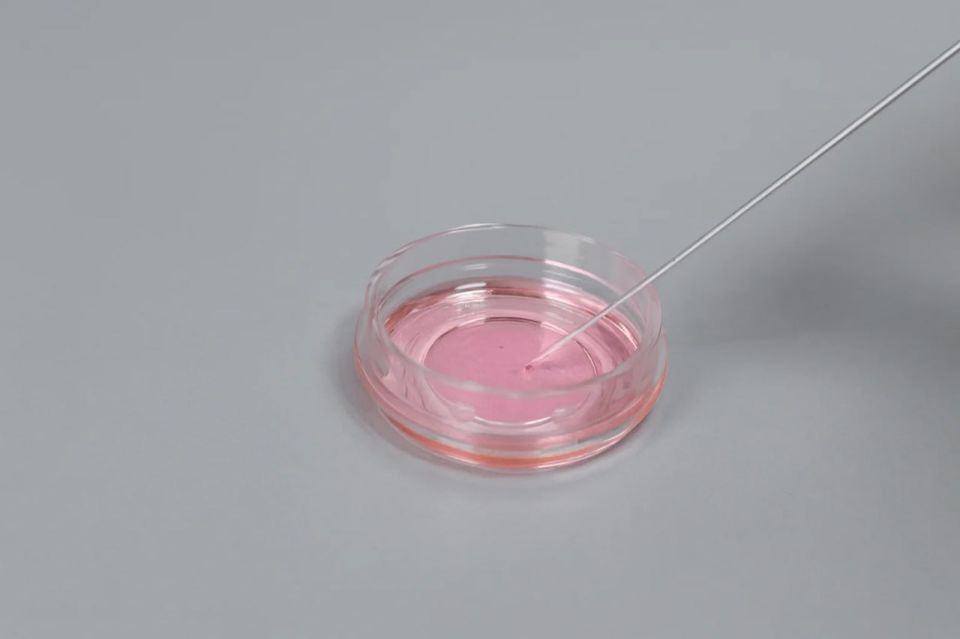 Инновационные изделия для работы с биоматериалом при ЭКО создали в Новосибирске