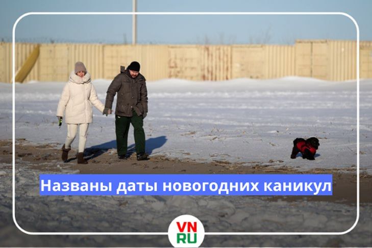 Двенадцать дней отдыха получат россияне в качестве подарка на Новый год в 2026 году