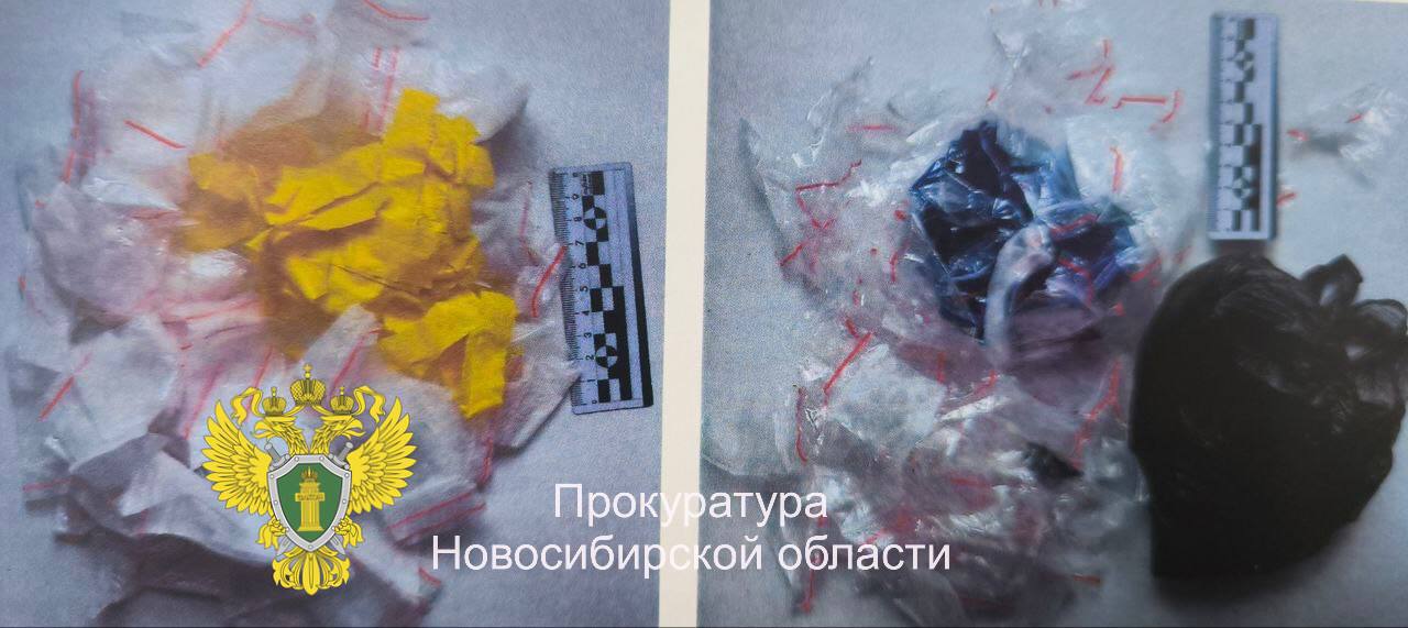 В Новосибирской области трое мужчин отправились в колонию за покушение на сбыт 500 свертков с наркотическими средствами