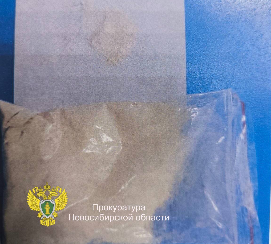 В Новосибирской области трое мужчин отправились в колонию за покушение на сбыт 500 свертков с наркотическими средствами В Новосибирской области трое мужчин отправились в колонию за покушение на сбыт 500 свертков с наркотическими средствами