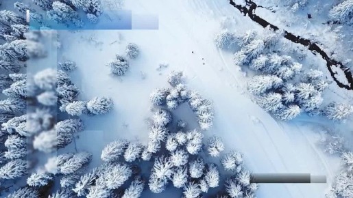 Вести Новосибирск