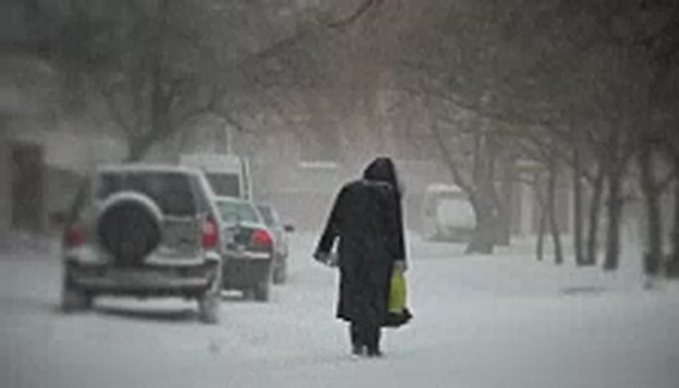 Снегопады и сильный ветер ожидаются в Новосибирской области в конце недели