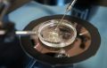 1 Российские ученые создали инновационные инструменты для ЭКО