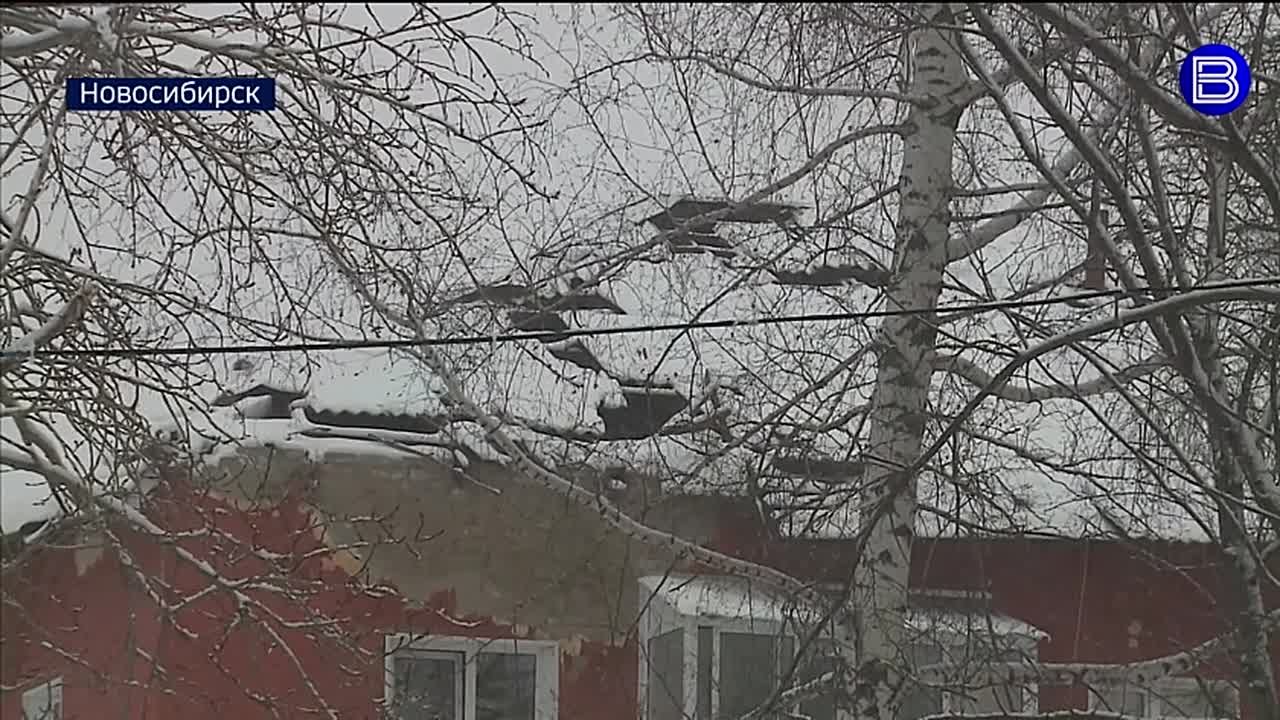 Приступили к работе. В доме № 12 на улице Шукшина начали ремонтировать крышу, пострадавшую от падения тополя четыре месяца назад