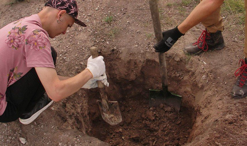 Посуду бронзового века с загадочным орнаментом нашли под Новосибирском