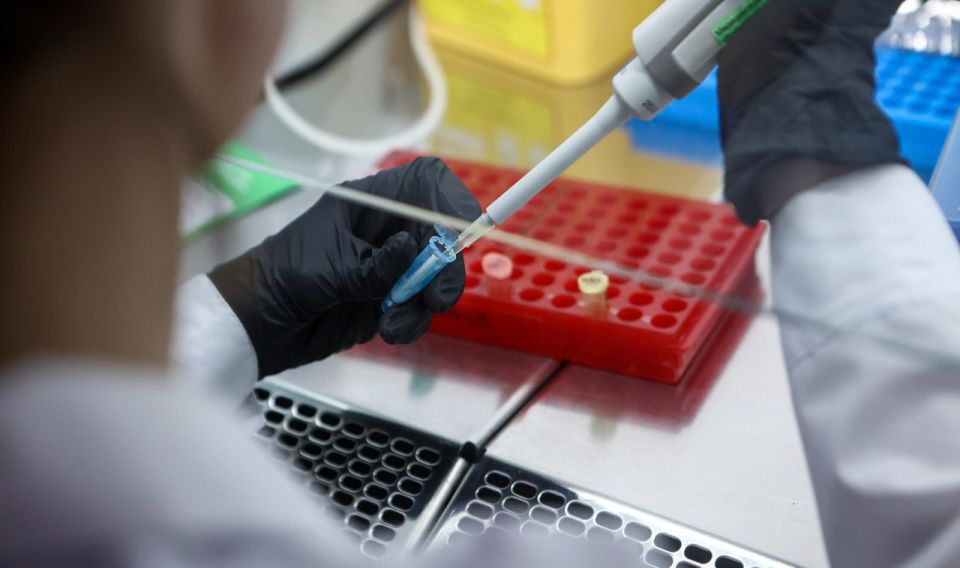 Учёные НГУ разработали программу для поиска мутаций по анализу ДНК