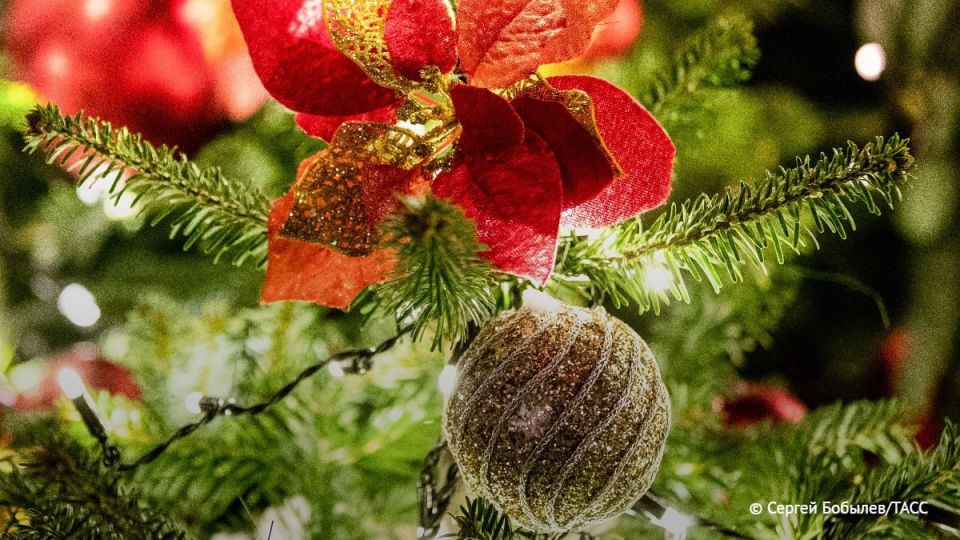 Елку в русском стиле установят напротив НОВАТа в центре Новосибирска к Новому году, сообщили в мэрии