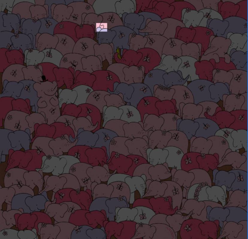 ��� � �������, ��������� ������