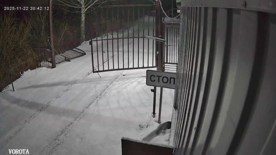 ��������� ���������� � ����������? ����� �� Subaru ���������� ������ � ������������� ��� ������� ���