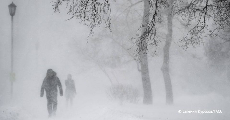 Снег и сильный ветер до 25 м/с прогнозируются в ряде регионов Сибири 23-24 ноября, сообщили в Сибуправтодоре