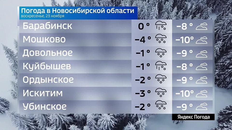Вести Новосибирск