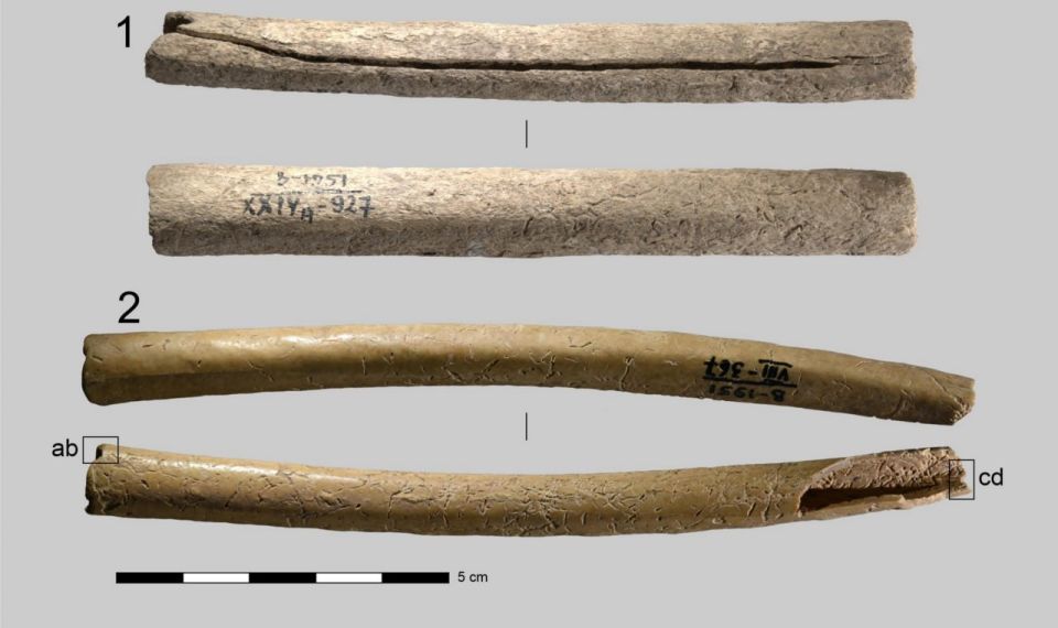 Новосибирские учёные просветили микротомографом древние футляры для игл
